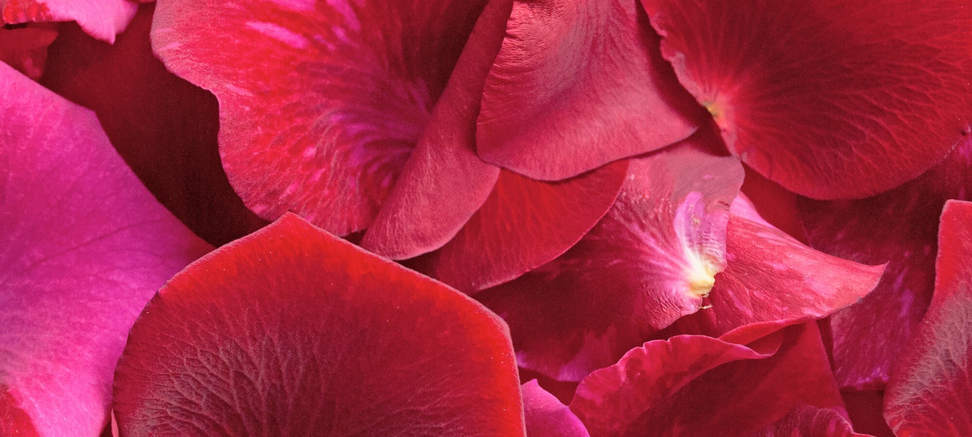 How To Choose The Best Cleanser For Your Skin Type Hero