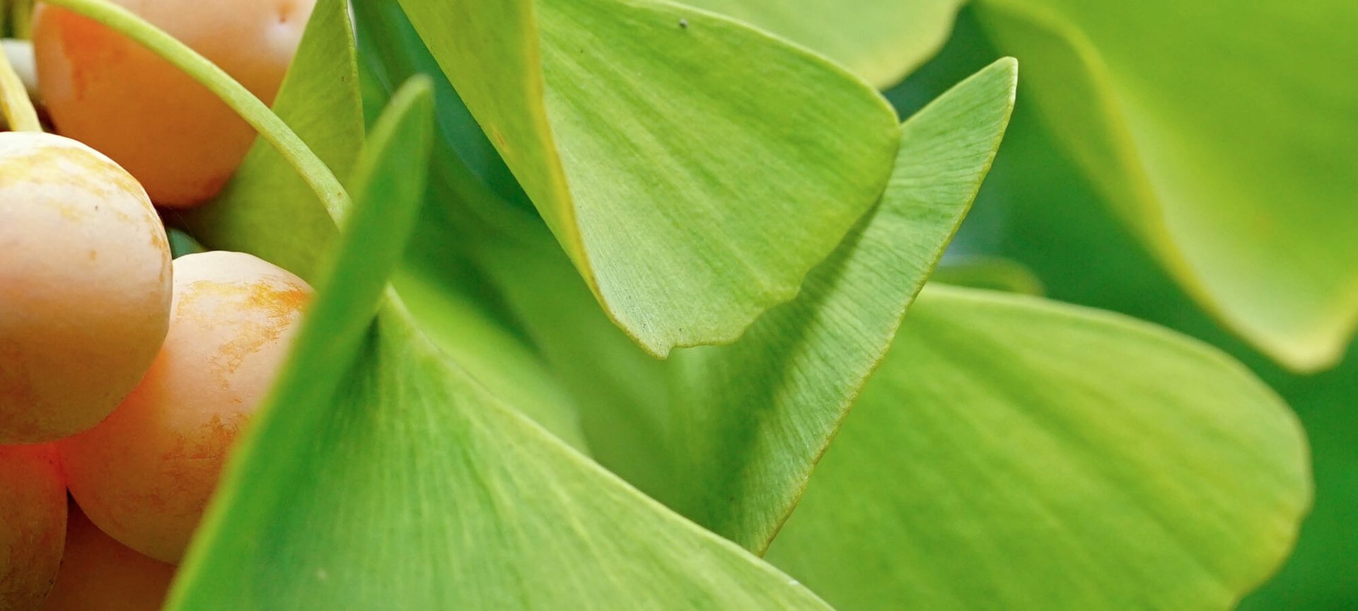 Run Out Of Cleanser No Worries Just Follow These Cleansing Tips Hero