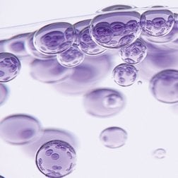 HYALURONIC ACID