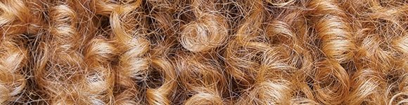 Q1 Curly 580x150 01 02