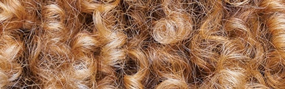 Q1 Curly 580x150 01 02