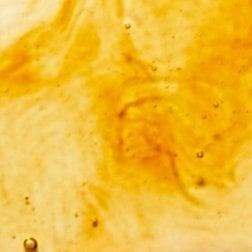 BANNERS CAFFEINE